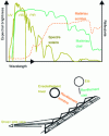 Figure 16 - Seasonal albedo adaptation (hybrid cool roofs)