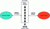 Figure 9 - Governability: the ability of the System to make decisions for the development of the System to make.