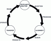 Figure 3 - Life cycle thinking