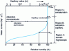 Figure 4 - Water absorption in porous material