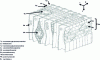 Figure 4 - Schematic representation of a softwood tree