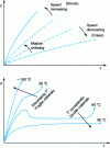 Figure 20 - Influence of loading speed and temperature on the tensile behavior of polymers