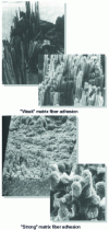 Figure 4 - Different failure modes depending on fiber/matrix adhesion