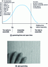 Figure 13 - Gumming time (TG) and open time (TO)