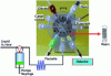 Figure 14 - Valve laboratory consisting of a PVC structure with a main microchannel and six secondary channels associated with a six-way valve (from [68]).