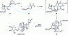 Figure 16 - Synthesis of ouabain by Deslongchamp