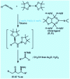 Figure 15 - Asymmetric synthesis of functionalized amines