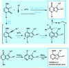 Figure 23 - Synthesis of biaryl furopyridones