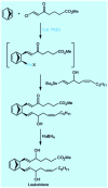 Figure 9 - Multicomponent synthesis of a member of the leukotriene family using a Heck reaction