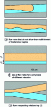 Figure 7 - Microscope photographs of two immiscible phases of different viscosities