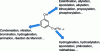 Figure 3 - Cardanol reactive sites