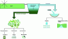 Figure 10 - Examples of ways to recover treated wastewater and biomass produced in HRAP (created with BioRender)