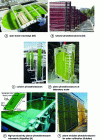 Figure 4 - Systems for microalgae cultivation
