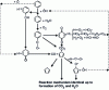 Figure 3 - Reaction diagram for benzene oxidation under hydrothermal conditions