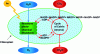 Figure 1 - Schematic representation of photosynthesis, the principle of which leads to the creation of biomass by assimilating CO2 thanks to captured light energy.