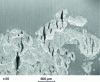 Figure 5 - Surface of a workpiece viewed under a scanning electron microscope after stripping