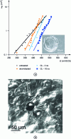 Figure 14 - Multipitting tests – (a) Pitting density ...