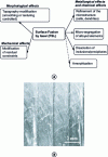 Figure 5 - (a) Changes induced by laser surface melting (FSL), (b) surface condition resulting from laser diode reflow (rectangular beam ...