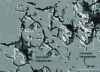 Figure 15 - Surface micrograph of an aluminum alloy after 2 years' exposure in a marine atmosphere (image taken after stripping of corrosion products).