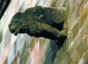Figure 15 - Encrusted gargoyle – Barcelona (Source Lerm)