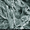 Figure 18 - Crystallization of gypsum CaSO4, 2H2O under a black crust (SEM) (Source Lerm)