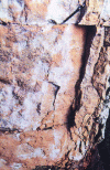 Figure 34 - Desquamation of limestone – Notre Dame des Grêves, Dieppe (Source Lerm)