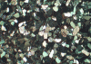 Figure 4 - Quartz sandstone (optical microscopy × 50) (Source Lerm)