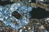 Figure 9 - Oxidized pyrite with peripheral gypsum neoformation in a molasse (optical microscopy × 100) (Source B. Quénée)