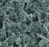 Figure 12 - Stone surface before cleaning. Presence of gypsum crystallizations – SEM (Source: Lerm)