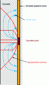 Figure 36 - Locating the corroded zone on reinforcement in concrete