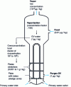 Figure 12 - Typical pollutant concentration at various points on the secondary side of a steam generator [19].