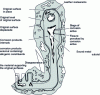 Figure 1 - Cutting a corroded key when it is uncovered [1].