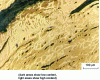 Figure 8 - Micrograph of a cross-section of a 16th-century nail showing mesoscopic heterogeneities in phosphorus distribution (Oberhoffer attack [39])