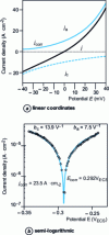 Figure 17 - Polarization curve for a copper electrode immersed in NaCl 3% + S2– 10 ppm (a) linear and (b) semi-logarithmic coordinates