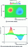 Figure 26 - Study of current densities relative to galvanic coupling of zinc and iron samples immersed in Na2SO4 0.1 M by the SVET local analysis technique (after [25]).