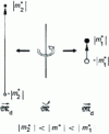 Figure 32 - Study of a cylinder of a magnetic substance whose magnetization M 0 is parallel to the cylinder axis