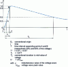 Figure 3 - Full lightning strike