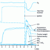 Figure 12 - Example of curves obtained with the Tewarson calorimeter