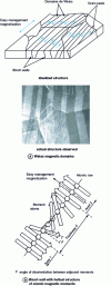 Figure 7 - Bloch walls and magnetic domains of a {110} textured Fe-3%Si steel<001>