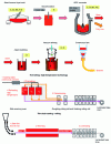 Figure 1 - Hot GO manufacturing process (ThyssenKrupp document)