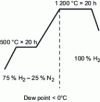 Figure 4 - Example of secondary recrystallization annealing thermal cycle (from [24])