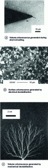 Figure 1 - Fracture patterns initiated by the space-charge eigenfield in various insulators