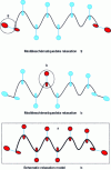 Figure 21 - Different types of relaxation in polymers