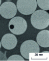 Figure 15 - Porosity of E-CR glass fibers