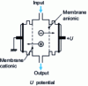 Figure 18 - Electrodialysis: schematic diagram