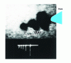 Figure 17 - Growth of a negative streamer: train of bubbles produced by a tip in cyclohexane by successive current pulses (100 mA/rod; 100 ns/rod). [6]