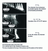 Figure 6 - Recordings of light emitted during the propagation of positive streamers between tip and plane, using a slit-scanning camera [26]