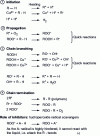 Figure 17 - Oxidation reaction mechanisms