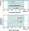 Figure 5 - Distribution of magnetic induction and screening currents in a superconducting plate