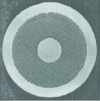 Figure 3 - NbTi strand of LHC dipoles (φe = 0.825 mm; 6,400 filaments of 6 µm diameter) (source: Alstom)